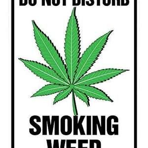 Meet your Posher, Chico